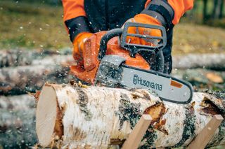 Eine Person, die im Freien mit einer Husqvarna-Motorsäge einen Birkenstamm auf einem Sägebock schneidet.