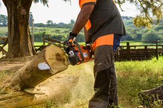 A person using a chainsaw to cut a tree log outdoors.