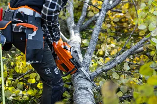 En person som använder en motorsåg för att kapa ett nedfallet träd i en skogsmiljö.