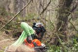 Людина використовує ланцюгову пилку для розрізання великої колоди дерева в лісі.