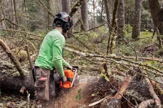 A person using a chainsaw to cut fallen tree branches in a forest setting.