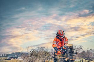 A person in work gear using a chainsaw to cut a tree trunk outdoors.