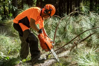 A person using a chainsaw to cut a fallen tree in a forest setting.