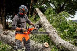 A person using a chainsaw to cut a fallen tree in a forest setting.