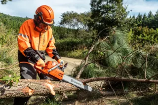 A person using a Husqvarna chainsaw to cut a fallen tree in a forest setting.