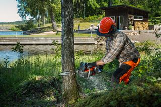 Una persona in tenuta da lavoro che utilizza una motosega per tagliare un albero in un grande giardino in prossimità di un lago.