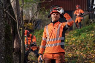 Chainsaw Academy - advanced tree felling