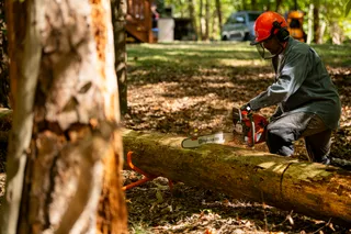 A person using a chainsaw to cut a fallen tree trunk in a forest setting.