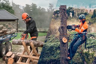 A láncfűrész használatának osztott nézete: fűrészbakra vágott rönkök és egy törzset vágó fához kötözött arborista.