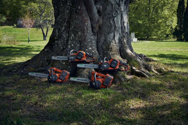 Cinque motoseghe Husqvarna esposte ai piedi di un grande albero in un parco.