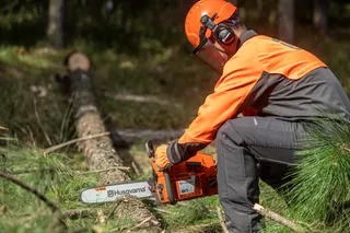 HUSQVARNA 61. A person using a Husqvarna chainsaw to cut tree branches in a forest setting.