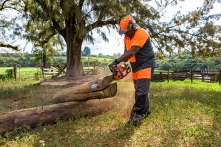A person using a chainsaw to cut a fallen tree trunk in a grassy area.