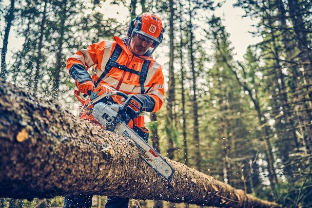 A person using a chainsaw to cut a fallen tree in a forest setting.