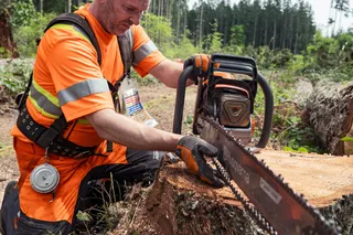 A person using a chainsaw to cut a tree stump in a forest setting.