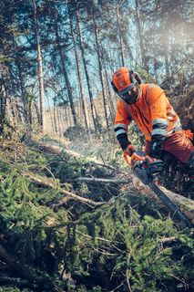 A person in work gear using a chainsaw to cut branches in a forest setting.