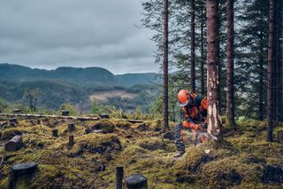 Husqvarna X-CUT® S93G, 3/8" mini pitch, .050 gauge. A person in work gear cutting down a tree in a forested area.
