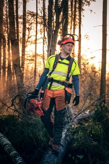 Una persona con equipo de trabajo que sostiene una motosierra, de pie sobre un árbol caído en un bosque.