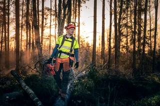 Una persona in tenuta da lavoro che tiene in mano una motosega, in piedi su un albero caduto in una foresta.