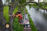 En arbetare i skyddsutrustning som använder en motorsåg för att kapa grenar från ett träd medan de står upphöjda på en plattform nära en kanal.