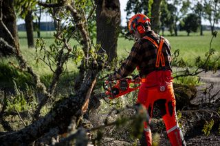 przycinanie drzew pilarką Husqvarna