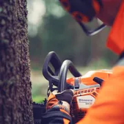 Osoba używająca piły łańcuchowej Husqvarna do cięcia drzewa w lesie.