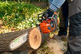 A person using a chainsaw to cut a tree log outdoors.