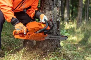 A person using a chainsaw to cut a tree trunk in a forest setting.