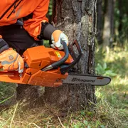 A person using a chainsaw to cut a tree trunk in a forest setting.