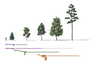 Illustrations Use Chainsaw Book 1 Working with chainsaws, part 1