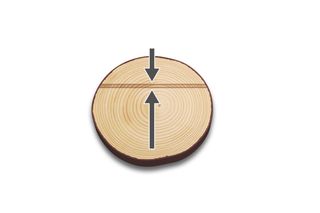 Cross-section of a tree log showing growth rings with an arrow indicating direction.
