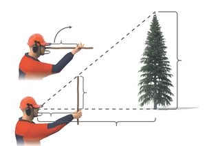 Illustration showing a person measuring the height of a tree using a stick and geometric principles.