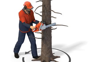 Illustration of a person using a chainsaw to cut down a tree, with safety gear and directional arrows.