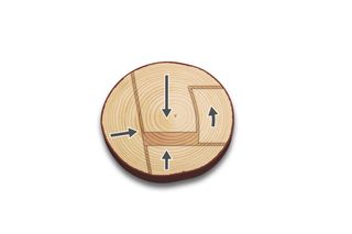 Cross-section of a tree log with growth rings and directional arrows.