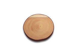 Top view of a wooden log slice showing growth rings.