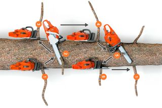 Illustration showing multiple chainsaws positioned around a tree log, with directional arrows.