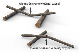 Element dekoracyjny z nakładającymi się patyczkami i polskim tekstem wskazującym na włókna kompresyjne.