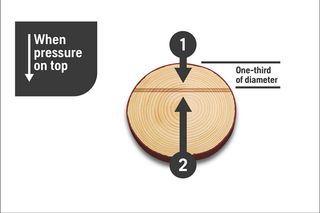 Illustration showing the effect of pressure on a wooden log slice, with labeled sections.