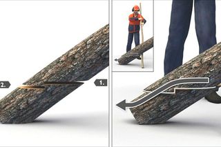 Illustration showing the technique for cutting a tree log with a chainsaw, including the correct angle and position.
