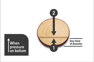 Illustration showing pressure points on a cross-section of a tree log, with arrows indicating direction.