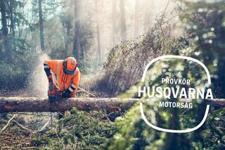 En person som sågar ett nedfallet träd med en motorsåg i en skog. text: "PROVKÖR HUSQVARNA MOTORSÅG".