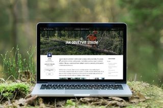 Notebook zobrazující webovou stránku s názvem "Jak odvětvit Strom" v lesním prostředí.