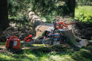 Ланцюгову пилку Husqvarna й аксесуари встановлено на пень у лісі.