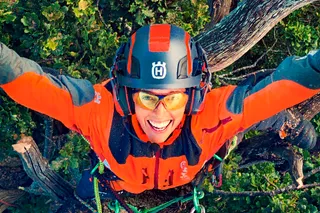 Asmuo, dėvintis darbo įrangą ir laipiojimo įrangą, lipantis į medį su virvėmis ir diržais.