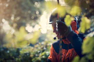 A person wearing work gear in a forest setting, surrounded by foliage.