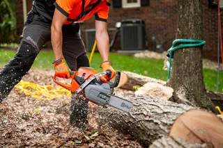 A person using a chainsaw to cut a fallen tree trunk outdoors.