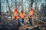 Trois travailleurs en tenue de travail orange se tiennent dans une zone forestière avec un arbre tombé.