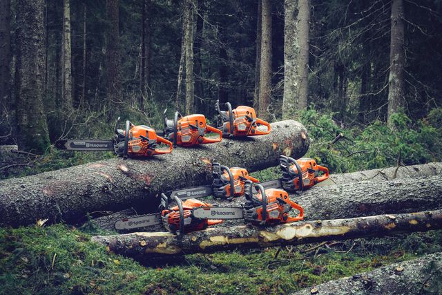 Flere Husqvarna-motorsager ble plassert på nedfalne trestokker i skog.