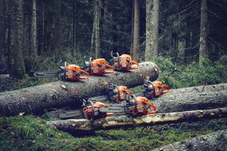 Flere Husqvarna-motorsager ble plassert på nedfalne trestokker i skog.