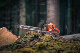 Husqvarna chainsaw resting on a tree stump in a forest setting.