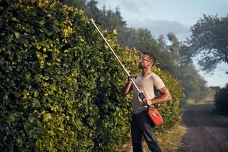 A person trimming a tall hedge with a long-handled hedge trimmer on a rural path.